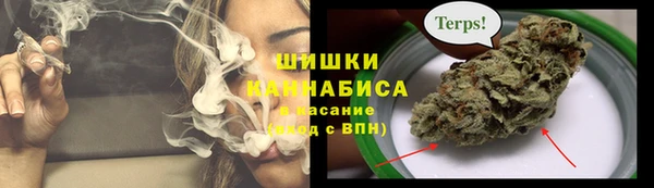 ГАЛЛЮЦИНОГЕННЫЕ ГРИБЫ Белокуриха