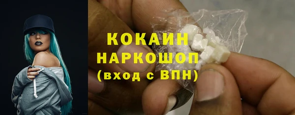 ГАЛЛЮЦИНОГЕННЫЕ ГРИБЫ Белокуриха