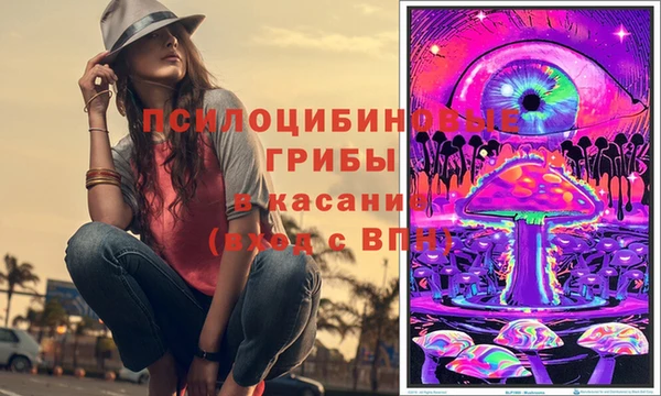 ГАЛЛЮЦИНОГЕННЫЕ ГРИБЫ Белокуриха