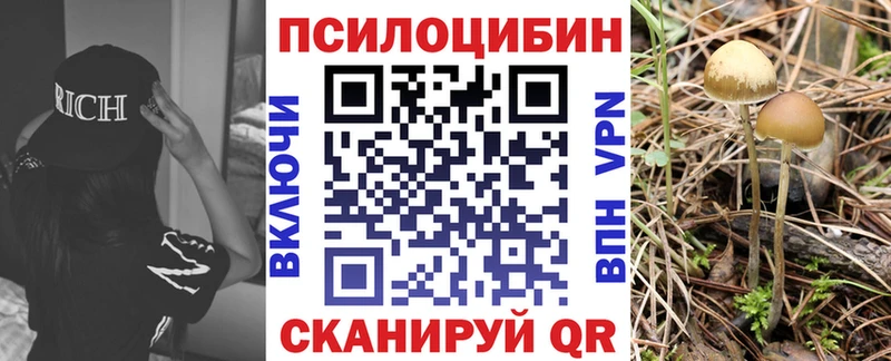 купить   Шатура  Галлюциногенные грибы GOLDEN TEACHER 